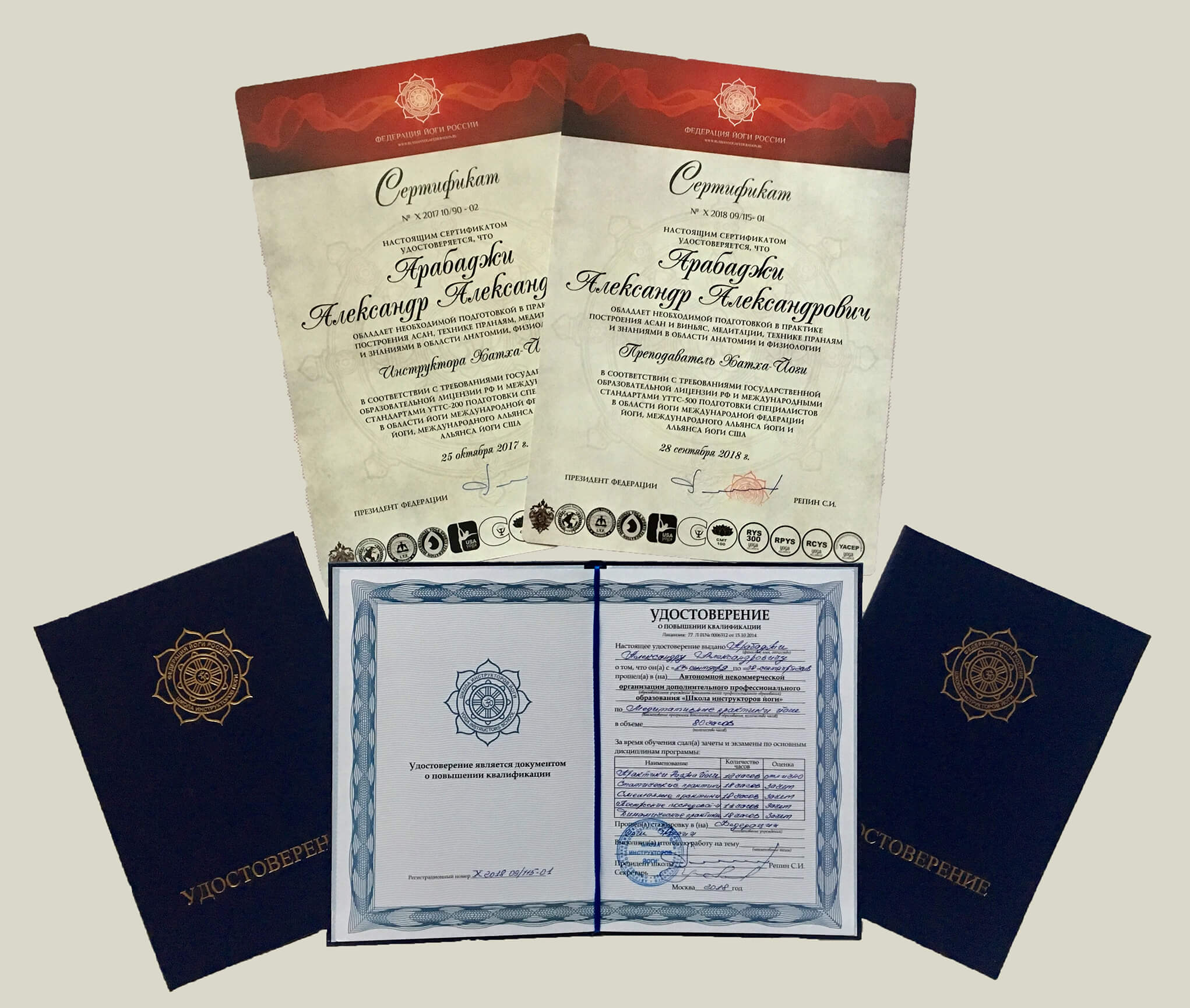 АВТОР КУРСА - АЛЕКСАНДР АРАБАДЖИ sertificate 20